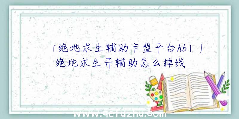 「绝地求生辅助卡盟平台hb」|绝地求生开辅助怎么掉线